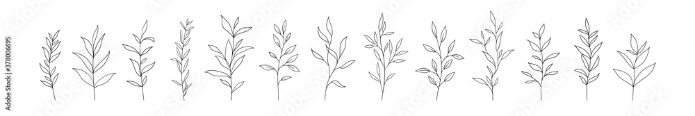 Set of vector tree branches and leaves. Hand drawn floral elements. Set of vector tree branches and leaves. Hand drawn floral elements.