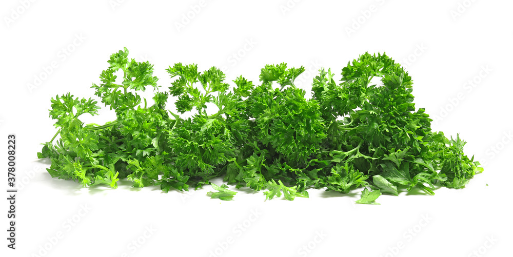 Naklejka premium Fresh parsley on white background