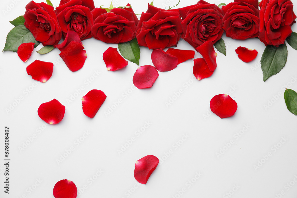 Beautiful red roses and petals on white background Beautiful red roses and petals on white background