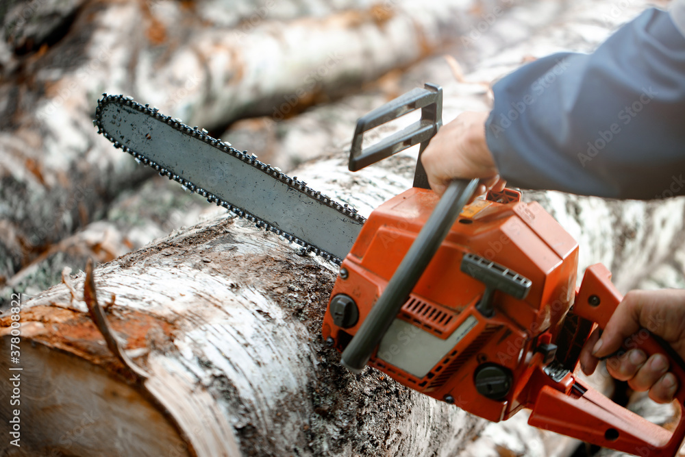 Chainsaw close-up in motion cuts wood. The man was cutting with a saw. Dust and movement.