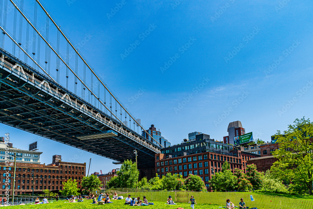Fototapeta premium View on green lawn, element of Manhattan Bridge and Two Trees building.