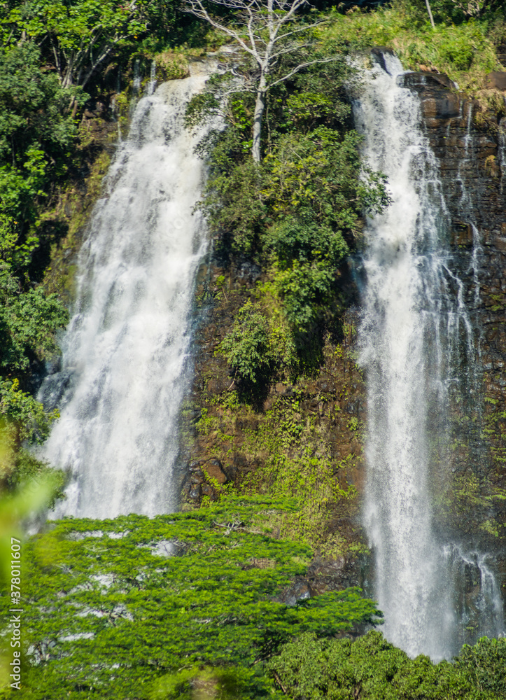 Fototapeta premium Waterfall