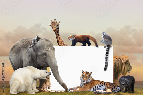 Group of wild animals photo frame