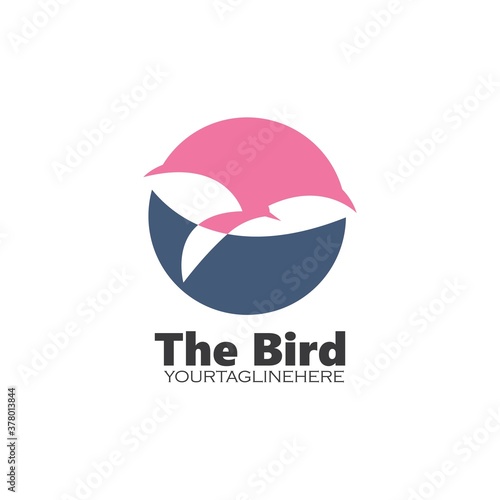 bird icon vector illuatration design template