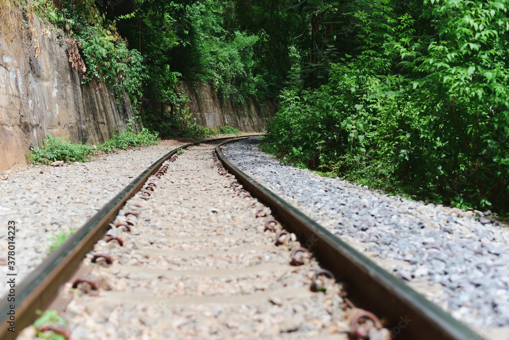 Obraz premium railway in the forest