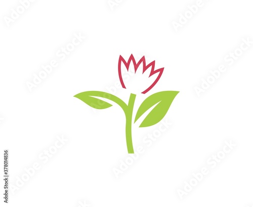 Flower logo 