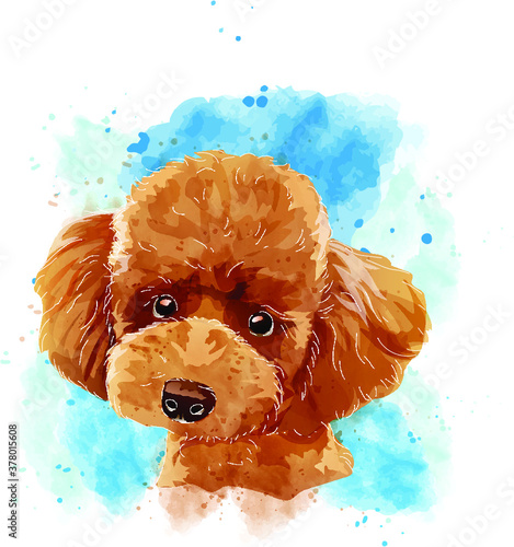 Watercolor poodle dog vector art