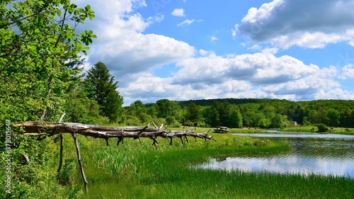 Landscape with sky and clouds. Natural tranquil scenery in upstate New York. A dead tree falling while hanging over in the air horizontally above ground. 
