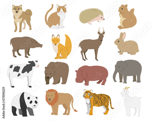 Animal illustration material set   vector