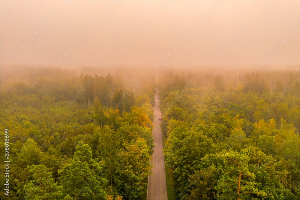Foggy sunrise. Aerial view of a street straight through a forest at a very foggy morning, shot by a drone.