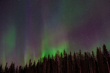 Northern lights,  Fairbanks, Alaska