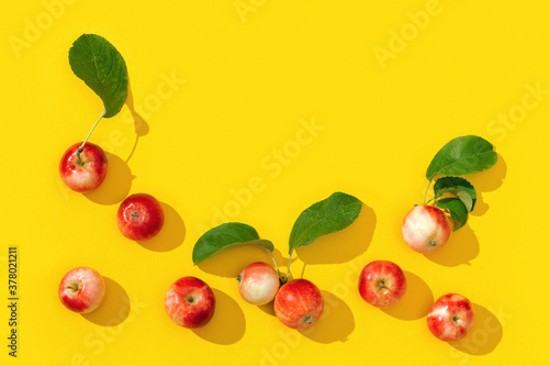 Fototapeta Naklejka Na Ścianę i Meble -  Frame from ripe small red apples and green leaves with dark shadows on yellow color background.