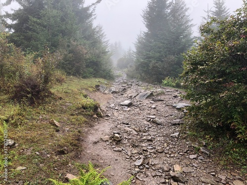 Mount Rogers - Grayson Highlands State Park, VA photo