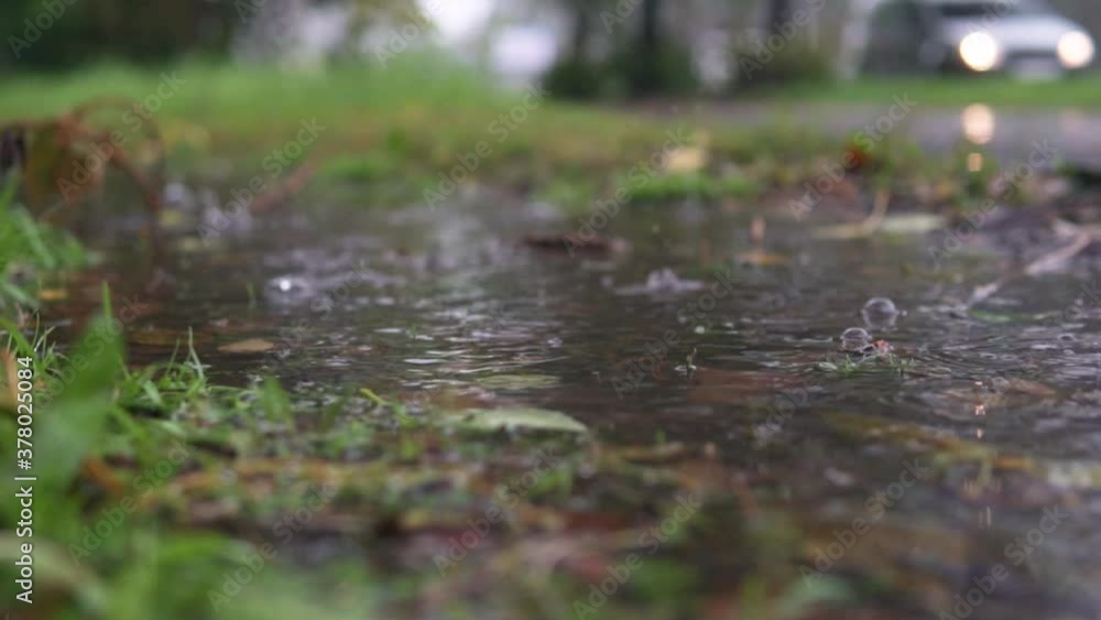 Autumn raindrops falling into puddle on ground path, flooding the way. Grass track floods due to the heavy rain in wet season. Slow motion close up. Fall town. Autumn raindrops falling into puddle on ground path, flooding the way. Grass track floods due to the heavy rain in wet season. Slow motion close up. Fall town.