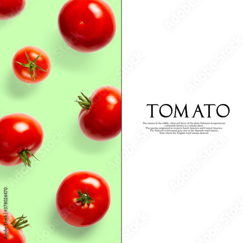 Creative layout made of tomato on the green background. Creative flat lay set of tomatoes with simple text on white background, copy space.