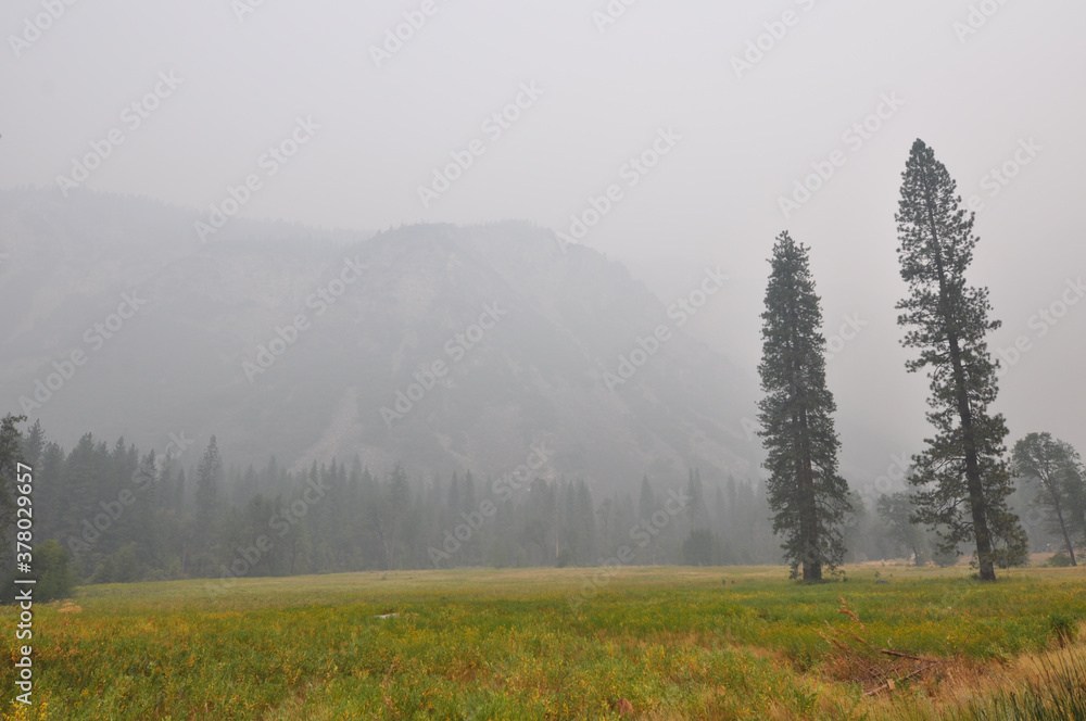 Very hazy and smokey view of mountains and trees from Yosemite Valley, during wildfire season