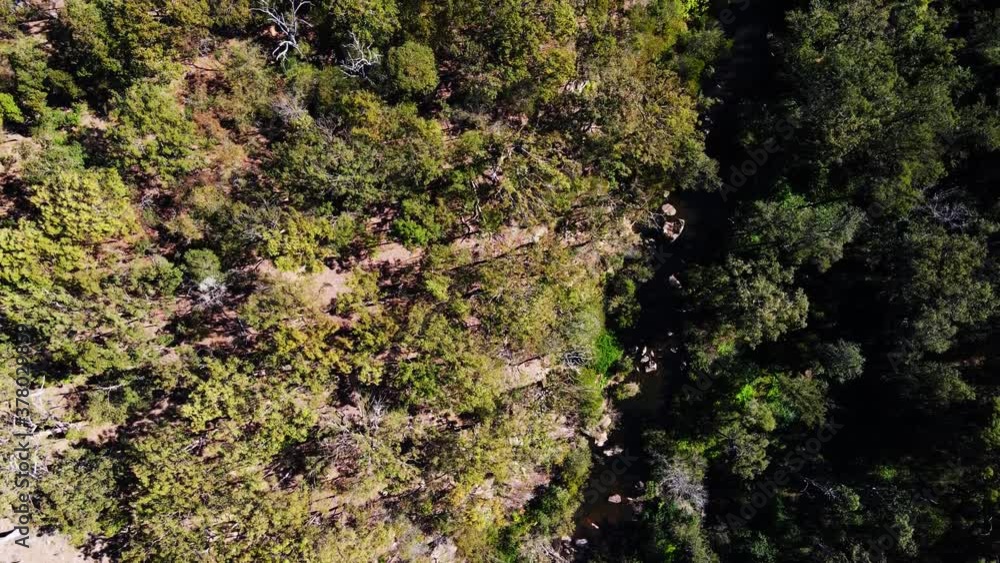 Beautiful green forest - Mount Byron - QLD Australia - Aerial top view Beautiful green forest - Mount Byron - QLD Australia - Aerial top view