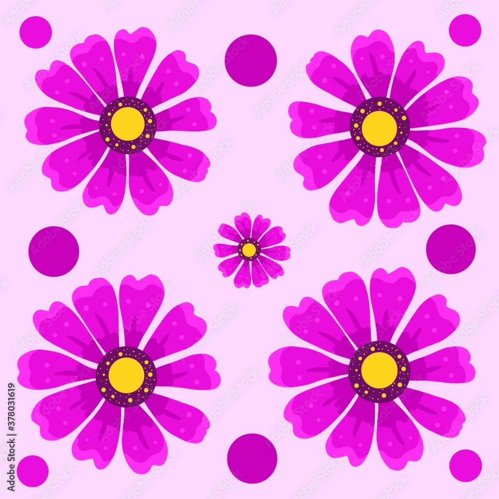pink daisy flowers pink daisy flowers
