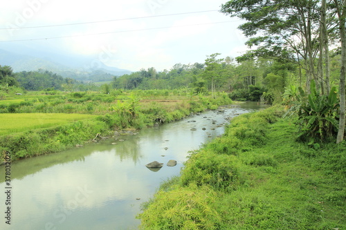 river in the forest