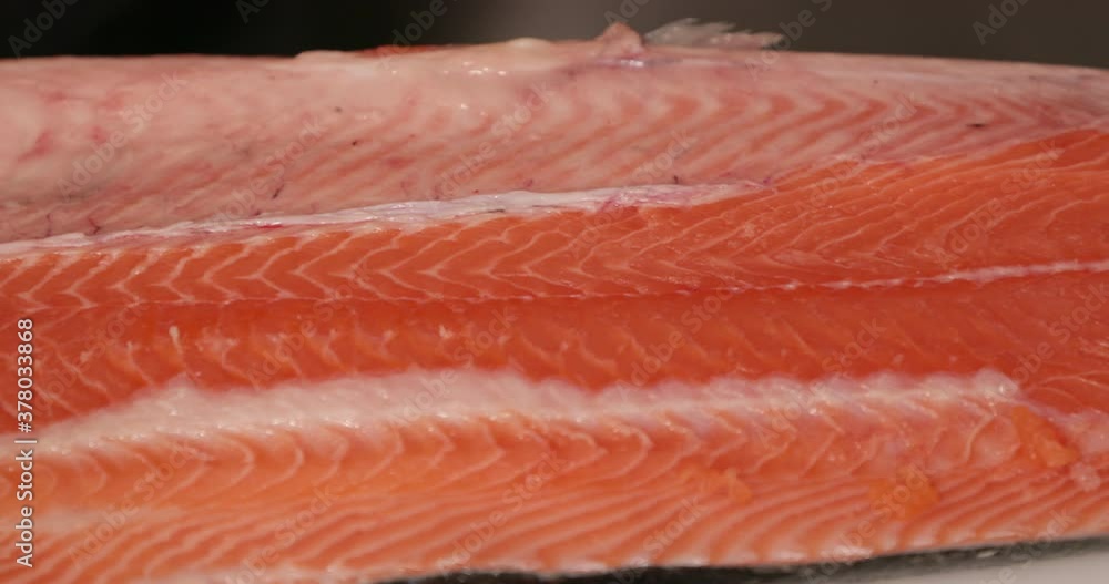 Fresh Raw Salmon Fish Steak On Top Of A White Table. - Panning Shot Fresh Raw Salmon Fish Steak On Top Of A White Table. - Panning Shot