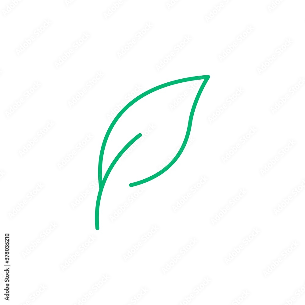 leaf icon vector illustration