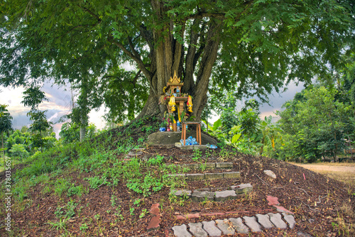 A spirit house on earth mound with a huge tree stands behind. Traditional Thai Miniature house built for a guardian spirit to reside. Food and drink are common offerings from Buddhists and worshipers.