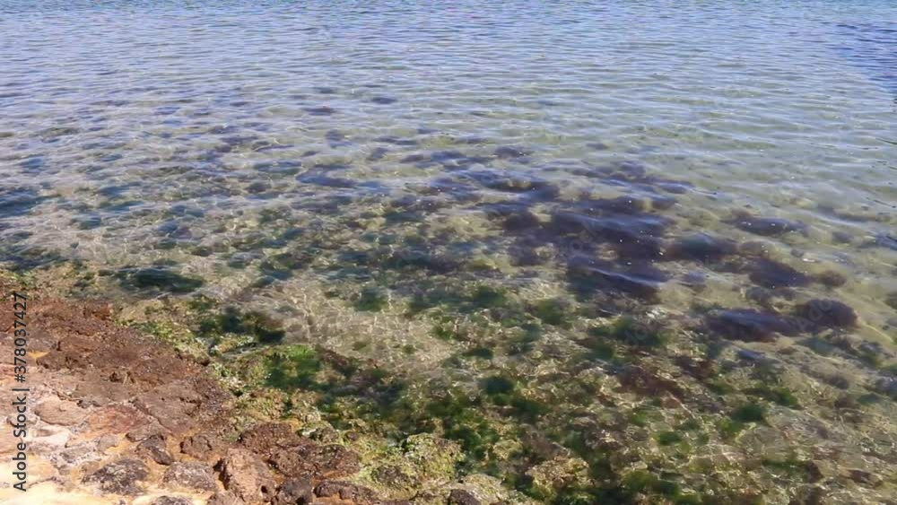 Calm clear waters of the Swan River, Perth, Australia Calm clear waters of the Swan River, Perth, Australia