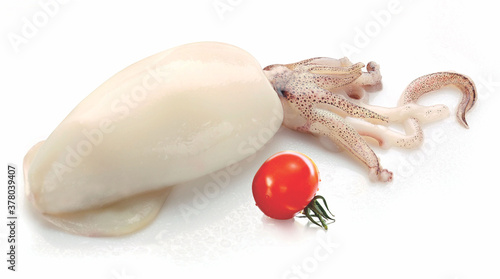 see food fresh Raw squid on cutting board with salad spices lemon garlic, fresh squids octopus or cuttlefish for cooked food at restaurant or seafood market, La Ciurma, Calamari, photo