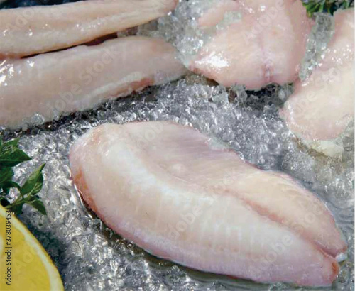see food fresh Raw squid on cutting board with salad spices lemon garlic, fresh squids octopus or cuttlefish for cooked food at restaurant or seafood market, La Ciurma, Calamari,