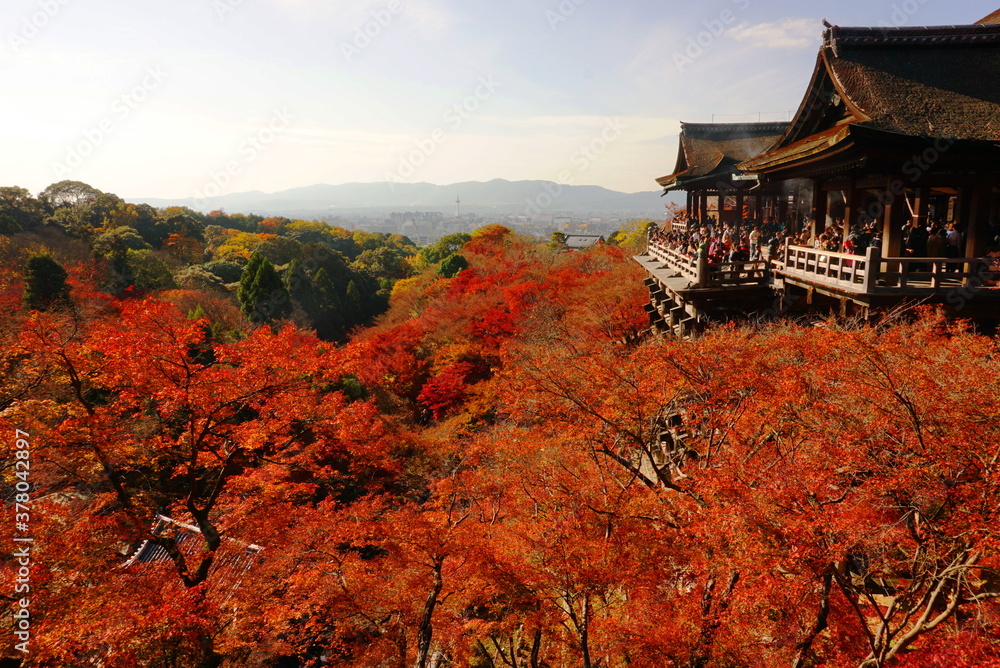 京都の秋 京都の秋