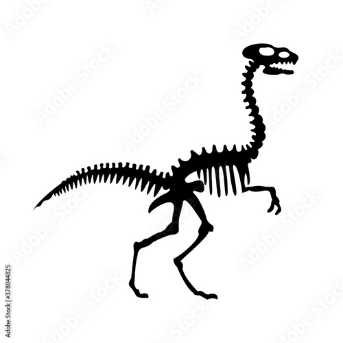 Vector silhouette of dinosaurs skeleton. Hand drawn dino skeleton. Dinosaur bones, exhibit fossils in the museum