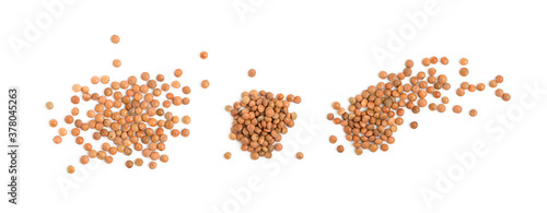 Dry brown lentils seeds or vegan protein source isolated photo