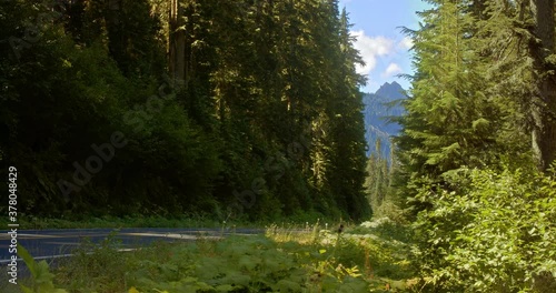 locked long shot of a mountain road between rows of trees, at the end a sunny blue sky with view of a mountain peak. sun dapples on shoulder's greenery