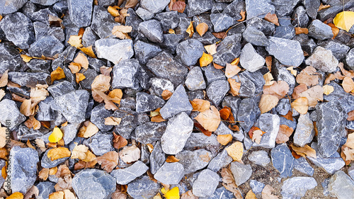 Wallpaper Mural Hintergrund Hintergründe Vorlage Template grau grunge Stein Fels Kies Schotter Split Weg rau grob Fläche gleichmäßig Material Bau Beton Baumaterial Wand Beschaffenheit Laub Blätter Garten Abdeckung Torontodigital.ca
