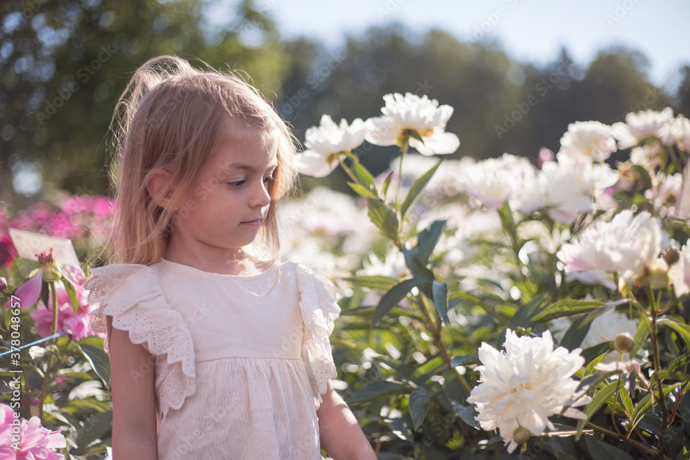 Little girl posing in peonies field. Little girl posing in peonies field.