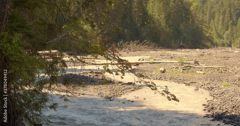Curve in the river exposes dark rocks and creates chop and whitewater . A dog plays in the background Curve in the river exposes dark rocks and creates chop and whitewater . A dog plays in the background