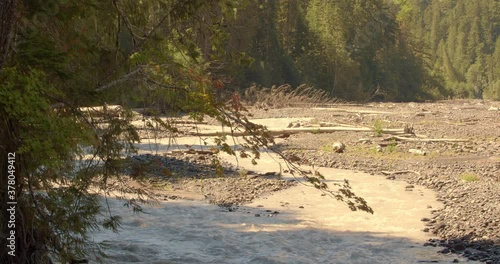 Curve in the river exposes dark rocks and creates chop and whitewater . A dog plays in the background