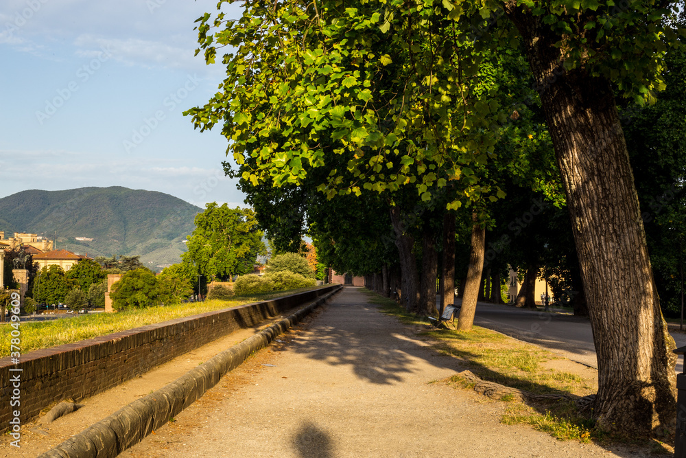 View of a Promenade on the City Walls of Lucca, Italy