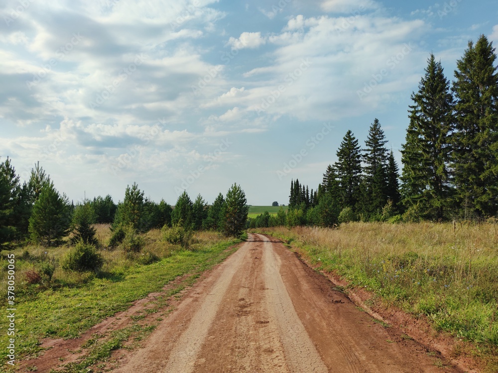 road in a field near green pine trees against a blue sky with clouds