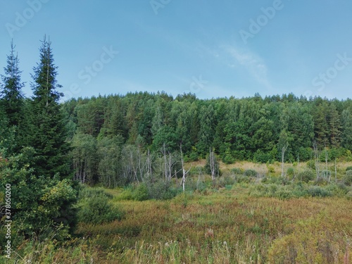 lowland near a green dense forest against a blue sky