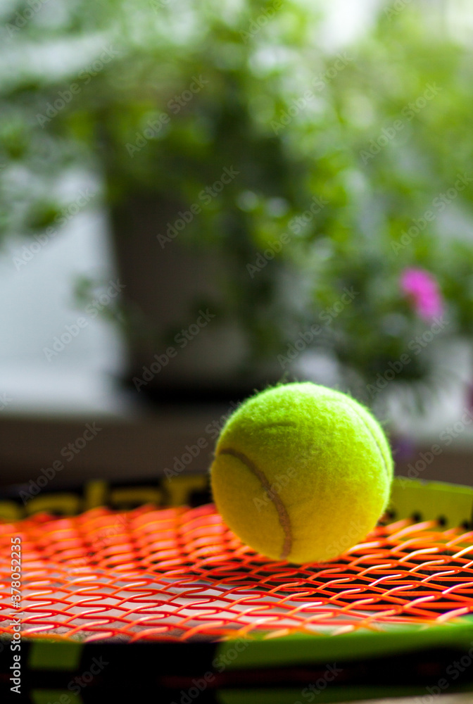 Bright Yellow Tennis Ball on the Tennis Racket