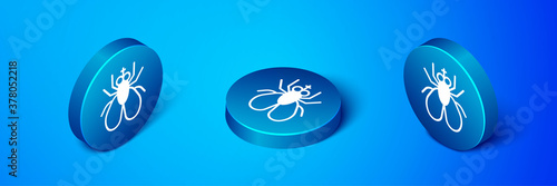 Isometric Insect fly icon isolated on blue background. Blue circle button. Vector.