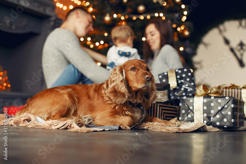 Mother in a gray sweater. Family with christmas gifts. People near fireplace. Family with dog. © prostooleh