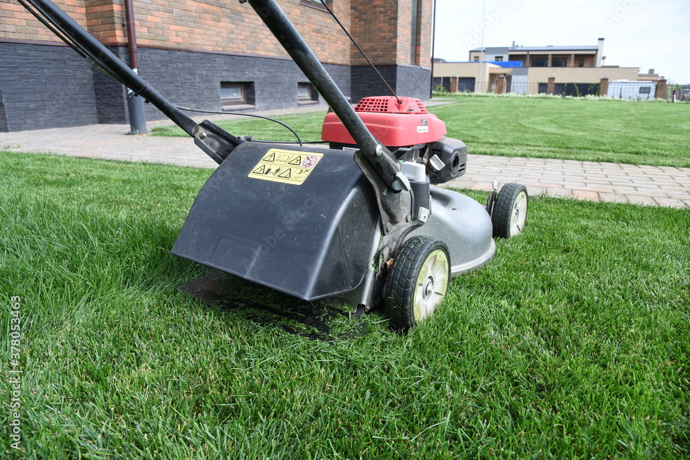 Fototapeta premium Emerald green lawn mowing landscape maintenance or garden service like business. Petrol mower cutting back yard. Countryside gardener