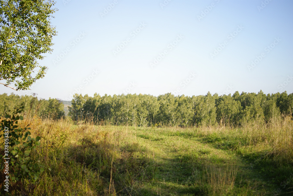 Obraz premium SONY DSC