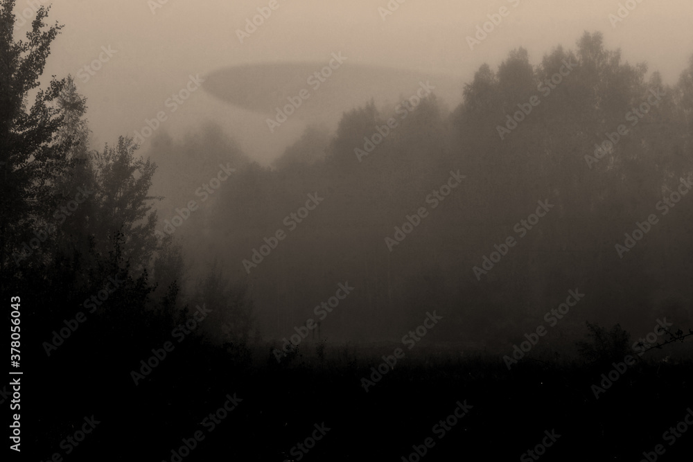 Abstract composition of alien spaceship over foggy forest and extraterrestrial figurine silhouettes in meadow during dark night. Vintage grunge filter color style with noise and compression artifacts Abstract composition of alien spaceship over foggy forest and extraterrestrial figurine silhouettes in meadow during dark night. Vintage grunge filter color style with noise and compression artifacts