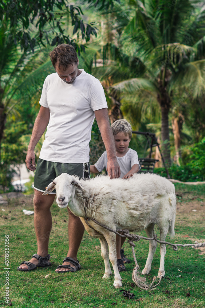 Naklejka premium Father son petting white sheep tied with rope at contact zoo with green background. Together time vacation with dad. Concept animal care, cattle animal breeding, farming. Children love animals