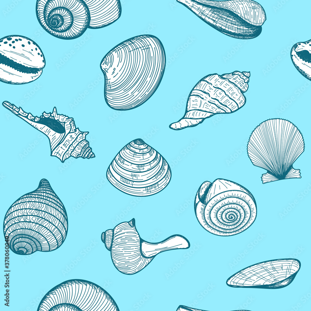 Seamless pattern of seashells. Collection of round and spiral shells in turquoise color isolated on a blue background. A square pattern of hand-drawn elements. Sketch. Vector illustration Seamless pattern of seashells. Collection of round and spiral shells in turquoise color isolated on a blue background. A square pattern of hand-drawn elements. Sketch. Vector illustration