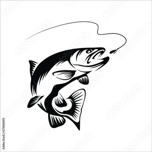 illustration of a fish