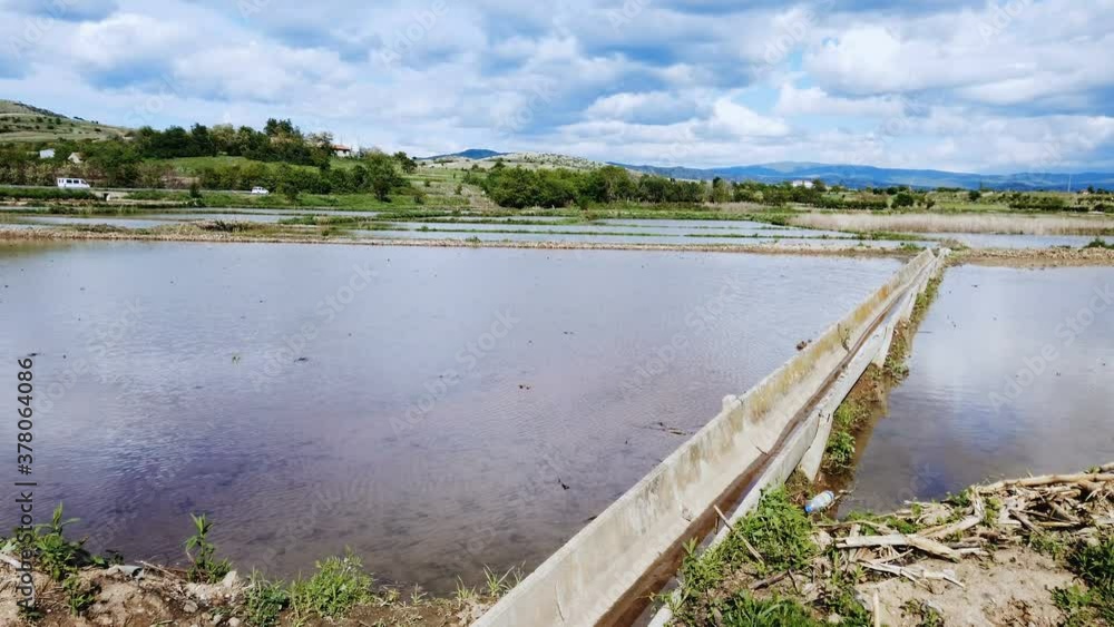 Water of an irrigation canal by a rice fields Water of an irrigation canal by a rice fields